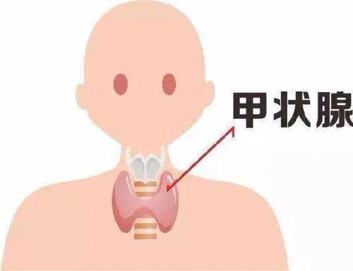 查出甲狀腺結(jié)節(jié)怎么辦？您關(guān)心的問題都在這里！