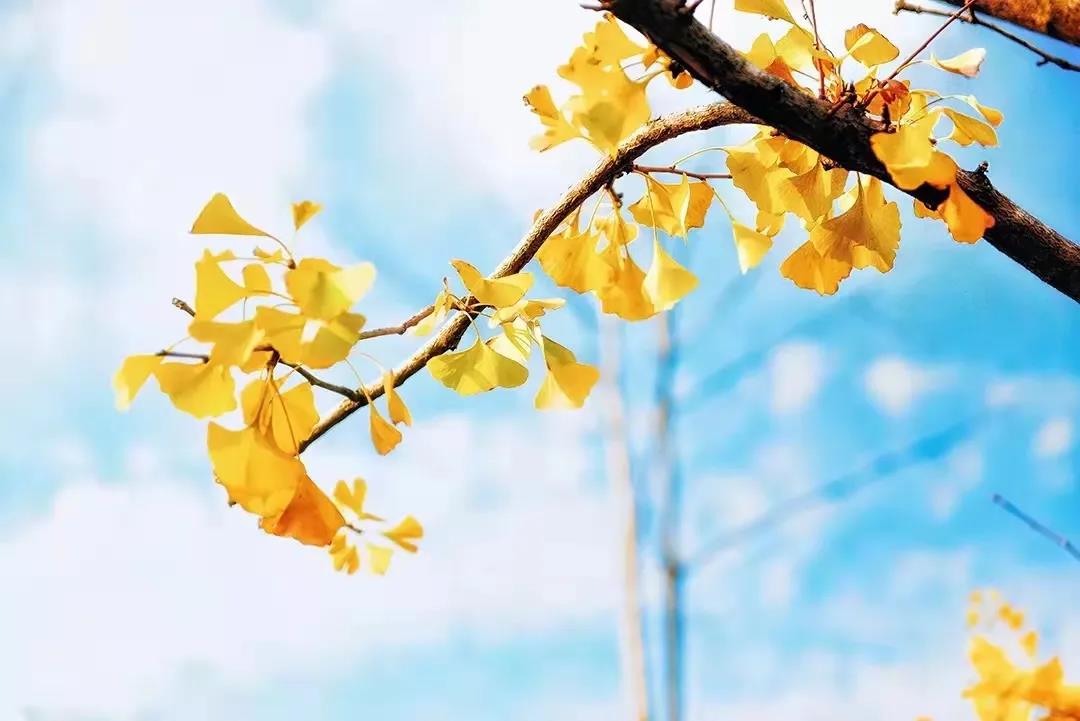 秋季心血管疾病多發(fā)，如何預(yù)防看這里！
